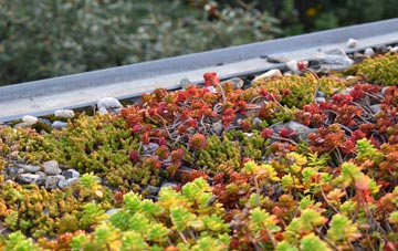the cost of Trowle Common green roof installation